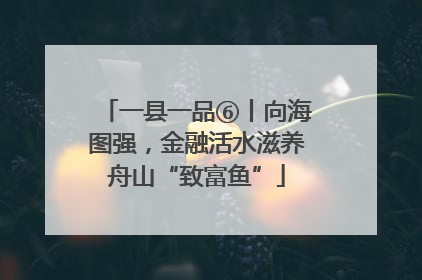 一县一品⑥丨向海图强，金融活水滋养舟山“致富鱼”