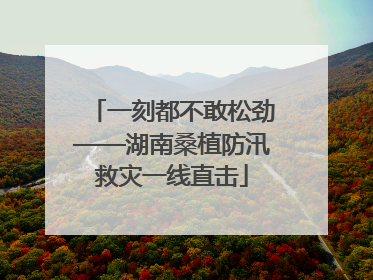 一刻都不敢松劲——湖南桑植防汛救灾一线直击