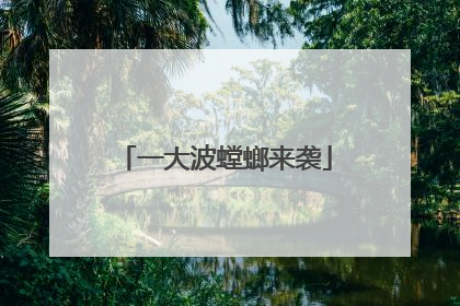 一大波螳螂来袭
