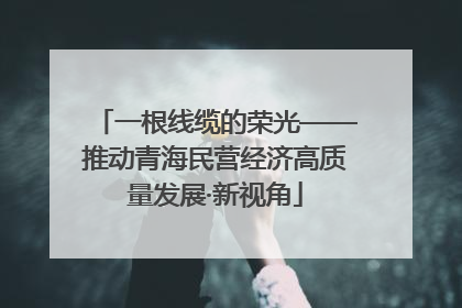 一根线缆的荣光——推动青海民营经济高质量发展·新视角