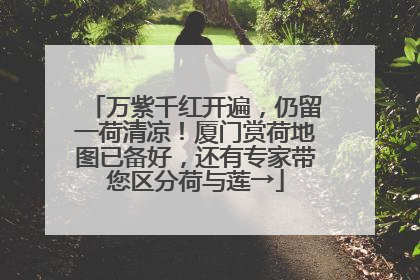 万紫千红开遍，仍留一荷清凉！厦门赏荷地图已备好，还有专家带您区分荷与莲→