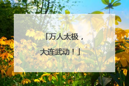 万人太极，大连武动！