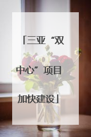 三亚“双中心”项目加快建设