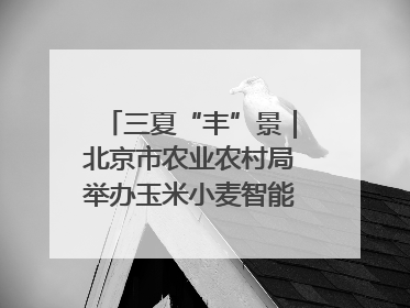 三夏“丰”景｜北京市农业农村局举办玉米小麦智能农机装备推广“田间日”活动