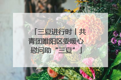 三夏进行时丨共青团睢阳区委暖心慰问助“三夏”