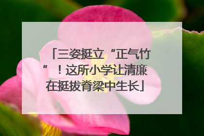 三姿挺立“正气竹”！这所小学让清廉在挺拔脊梁中生长
