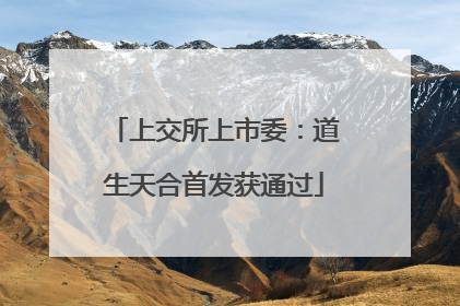 上交所上市委：道生天合首发获通过