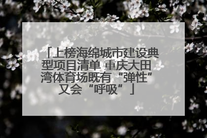 上榜海绵城市建设典型项目清单 重庆大田湾体育场既有“弹性”又会“呼吸”