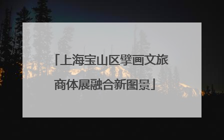 上海宝山区擘画文旅商体展融合新图景