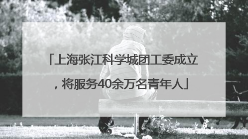 上海张江科学城团工委成立，将服务40余万名青年人