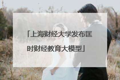上海财经大学发布匡时财经教育大模型
