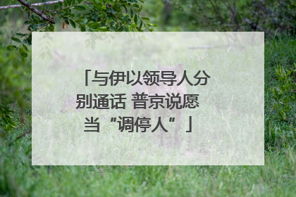与伊以领导人分别通话 普京说愿当“调停人”