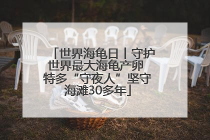 世界海龟日丨守护世界最大海龟产卵 特多“守夜人”坚守海滩30多年