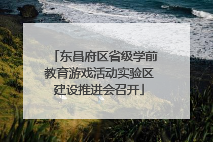 东昌府区省级学前教育游戏活动实验区建设推进会召开