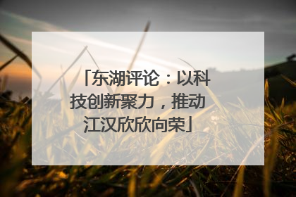 东湖评论：以科技创新聚力，推动江汉欣欣向荣