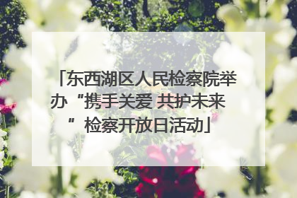 东西湖区人民检察院举办“携手关爱 共护未来”检察开放日活动