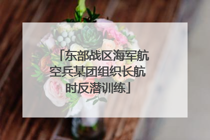 东部战区海军航空兵某团组织长航时反潜训练