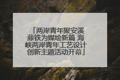 两岸青年聚安溪 藤铁为媒绘新篇 海峡两岸青年工艺设计创新主题活动开幕