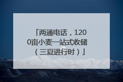 两通电话，1200亩小麦一站式收储（三夏进行时）
