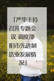 严华主持召开专题会议 调度邵阳市先进制造业发展情况