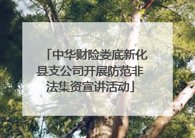 中华财险娄底新化县支公司开展防范非法集资宣讲活动