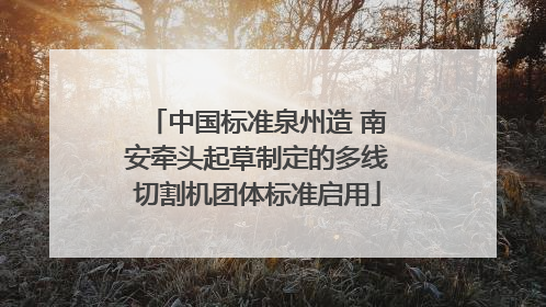 中国标准泉州造 南安牵头起草制定的多线切割机团体标准启用