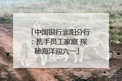 中国银行襄阳分行：携手员工家庭 探秘海洋迎六一