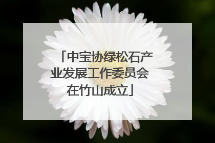 中宝协绿松石产业发展工作委员会在竹山成立