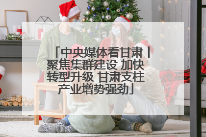 中央媒体看甘肃丨聚焦集群建设 加快转型升级 甘肃支柱产业增势强劲