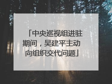 中央巡视组进驻期间，吴建平主动向组织交代问题