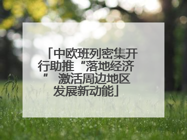 中欧班列密集开行助推“落地经济” 激活周边地区发展新动能
