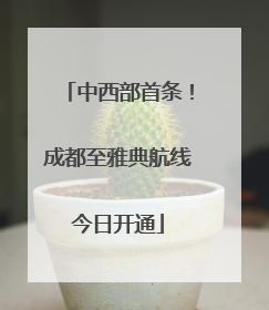 中西部首条！成都至雅典航线今日开通
