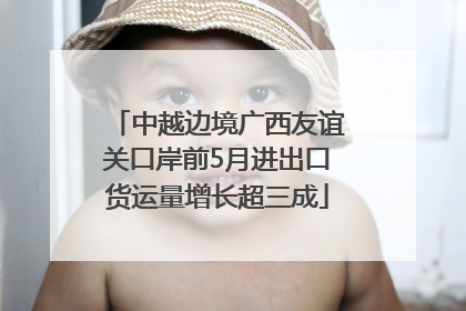 中越边境广西友谊关口岸前5月进出口货运量增长超三成