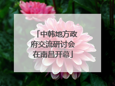 中韩地方政府交流研讨会在南昌开幕