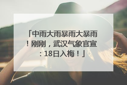 中雨大雨暴雨大暴雨！刚刚，武汉气象官宣：18日入梅！