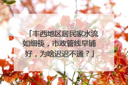 丰西地区居民家水流如细筷，市政管线早铺好，为啥迟迟不通？