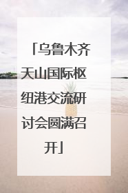 乌鲁木齐天山国际枢纽港交流研讨会圆满召开