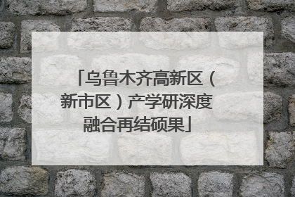 乌鲁木齐高新区（新市区）产学研深度融合再结硕果