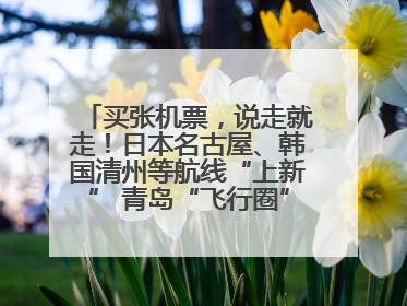 买张机票，说走就走！日本名古屋、韩国清州等航线“上新” 青岛“飞行圈”不断扩大
