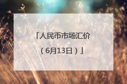 人民币市场汇价（6月13日）