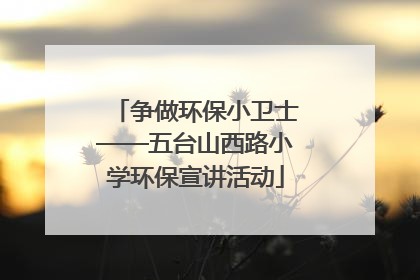 争做环保小卫士——五台山西路小学环保宣讲活动