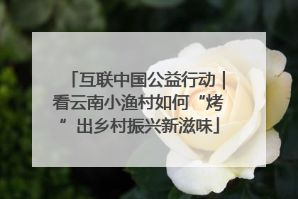 互联中国公益行动｜看云南小渔村如何“烤”出乡村振兴新滋味