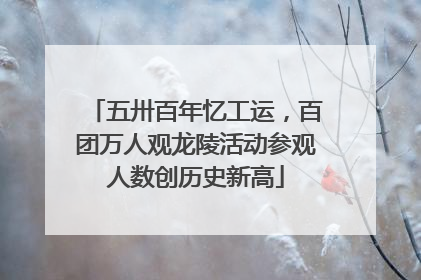 五卅百年忆工运，百团万人观龙陵活动参观人数创历史新高