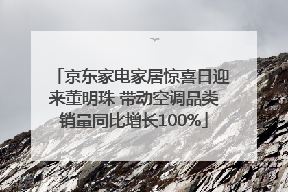 京东家电家居惊喜日迎来董明珠 带动空调品类销量同比增长100%
