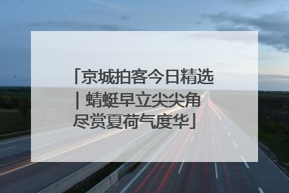 京城拍客今日精选｜蜻蜓早立尖尖角 尽赏夏荷气度华