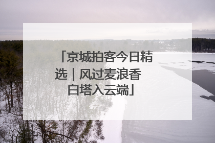 京城拍客今日精选｜风过麦浪香 白塔入云端