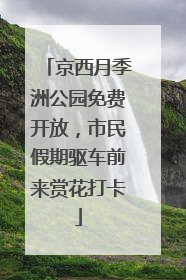 京西月季洲公园免费开放，市民假期驱车前来赏花打卡