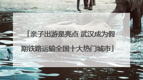 亲子出游是亮点 武汉成为假期铁路运输全国十大热门城市