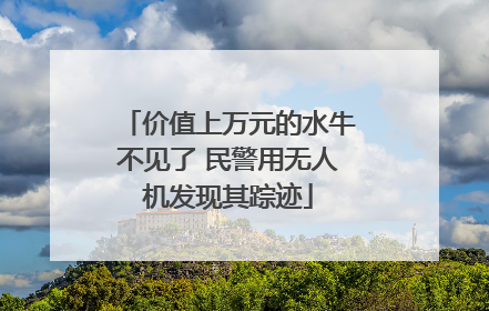 价值上万元的水牛不见了 民警用无人机发现其踪迹