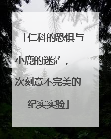 仁科的恐惧与小鹿的迷茫，一次刻意不完美的纪实实验